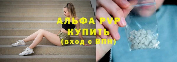 ГАЛЛЮЦИНОГЕННЫЕ ГРИБЫ Белоозёрский