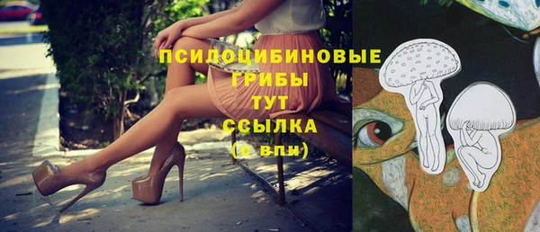 МДПВ Беломорск