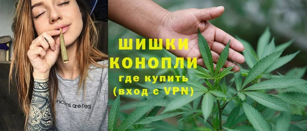 ГАЛЛЮЦИНОГЕННЫЕ ГРИБЫ Белоозёрский
