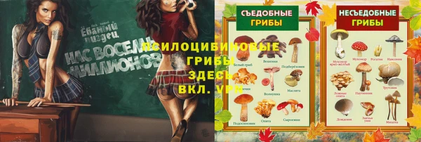 кристаллы Белокуриха