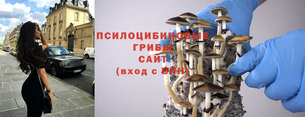ГАЛЛЮЦИНОГЕННЫЕ ГРИБЫ Белоозёрский