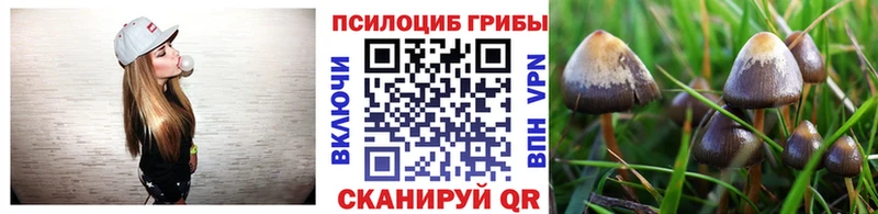 omg онион  Дагестанские Огни  Псилоцибиновые грибы прущие грибы 