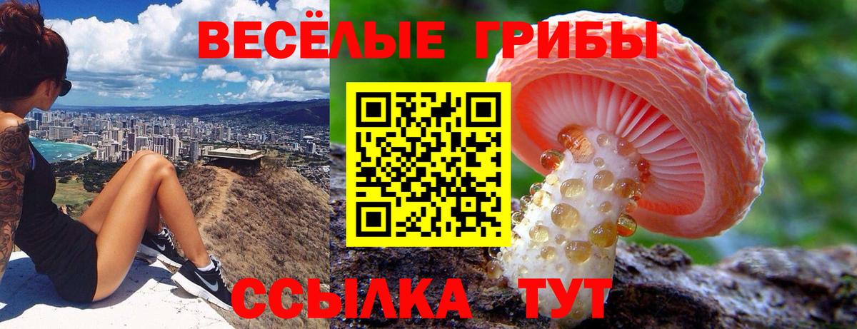 Галлюциногенные грибы прущие грибы  Вход с VPN  Галлюциногенные грибы мухоморы  Дагестанские Огни 