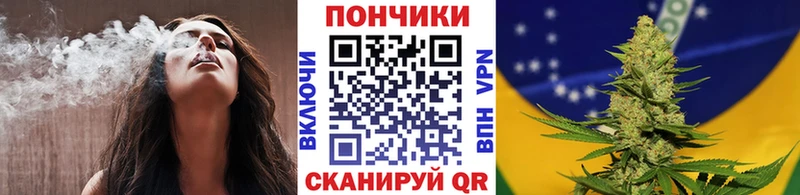 Канабис планчик  где можно купить наркотик  Дагестанские Огни 